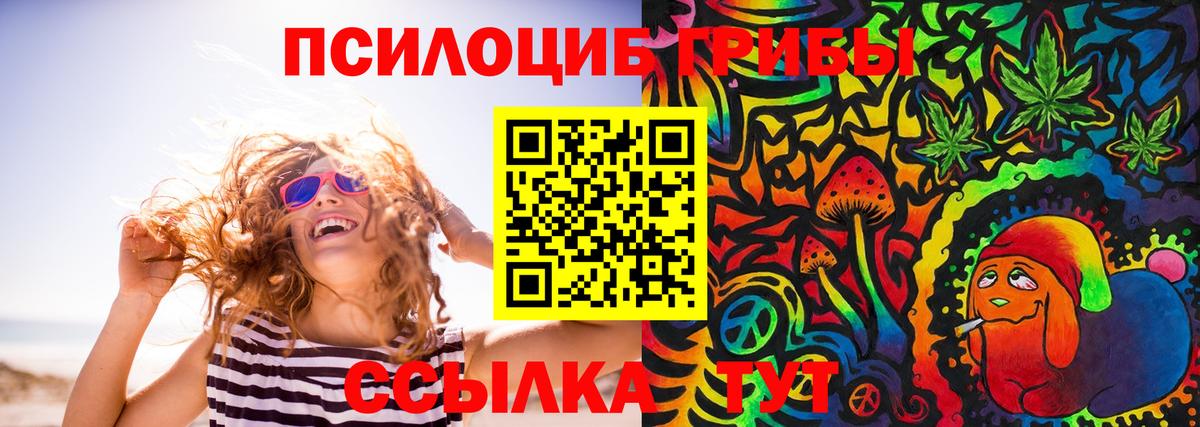 Псилоцибиновые грибы Cubensis  Псилоцибиновые грибы MAGIC MUSHROOMS  Тосно  Вход с VPN 